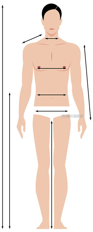 Pattern of the male body measurements in full length. Template for measuring body proportions